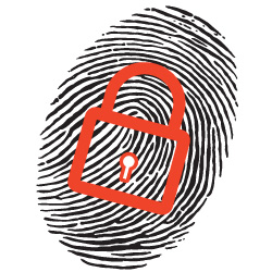 visa-fraudulent-protection
